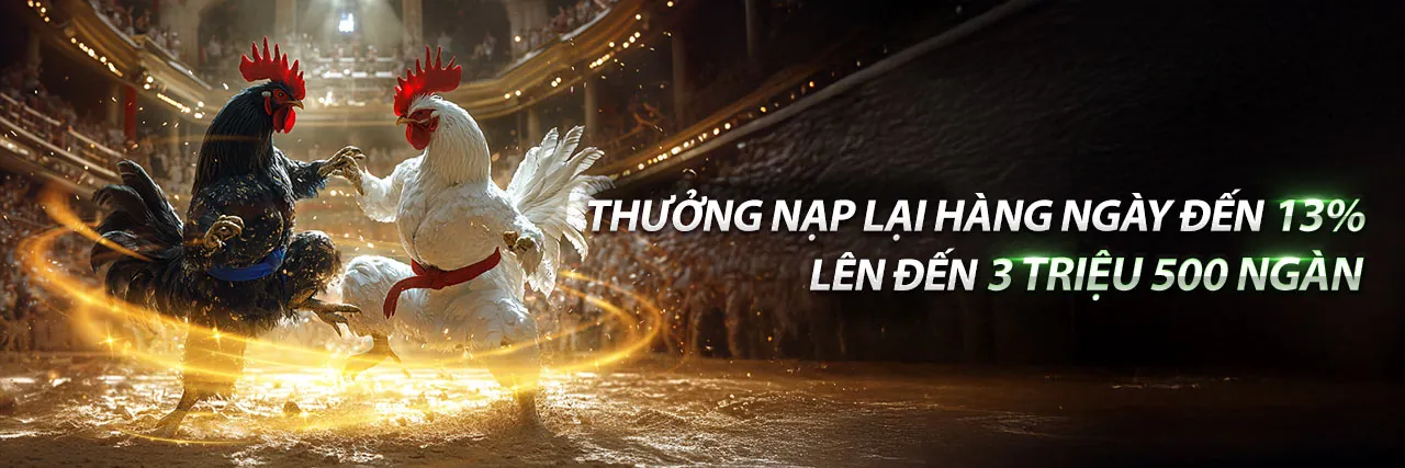 Sòng bạc Trực tiếp i5bet Nổ Hũ với người chia bài chuyên nghiệp